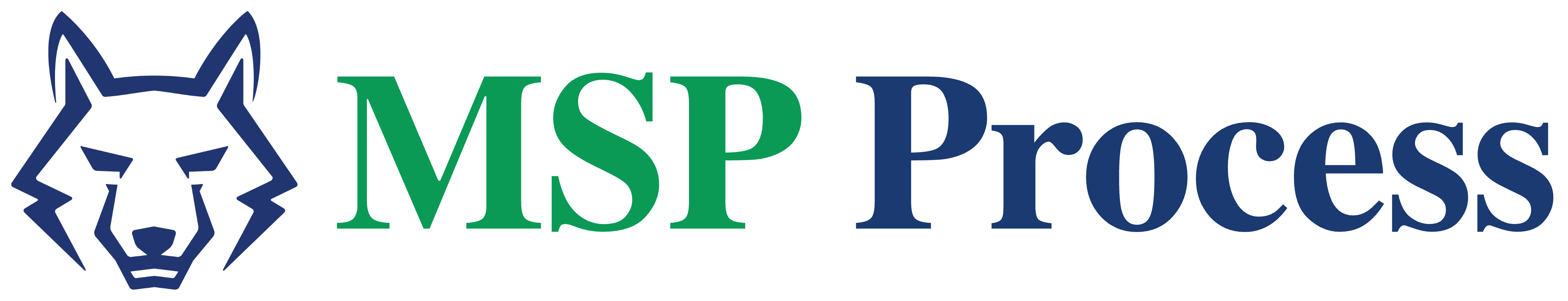 MSP Process